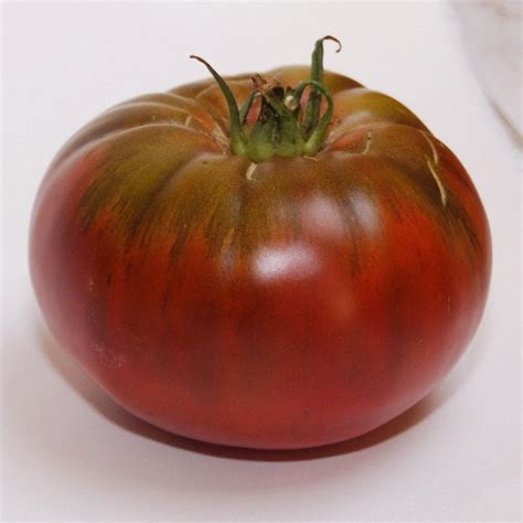 Semences Tomate Noire De Crim E Bio Graines Ferme De Sainte