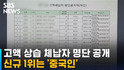 서울시 고액 상습 체납자 명단 공개신규 1위는 중국인 Sbs Youtube