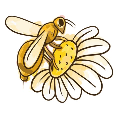 Design Png E Svg De Flor De Abelha Em Aquarela Para Camisetas