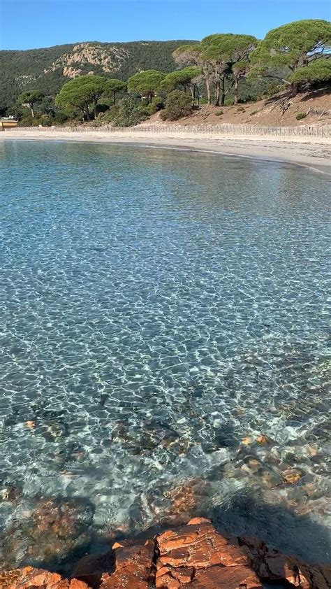 La Plage De Palombaggia En Corse Porto Vecchio Artofit