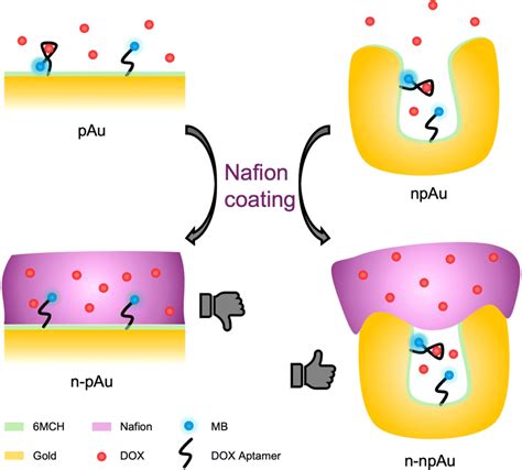 Nafion Coated Nanopore Electrode For Improving Electrochemical Aptamer Based Biosensing