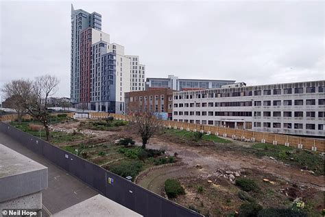 Council Sparks Fury As Workers Begin Chopping Down Trees Under