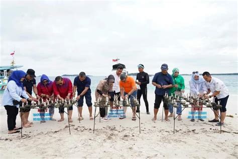 Lestarikan Ekosistem Dan Biota Laut Pangdam Tanam Terumbu Karang Di