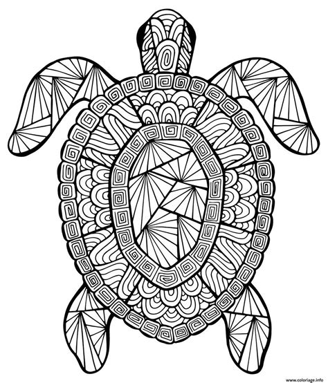 Coloriage Tortue Animaux Adulte Dessin Adulte Animaux à imprimer