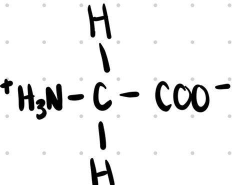 Flashcards Biochem Amino Acids Quizlet