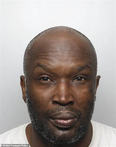 Moment Officers Swoop In And Arrest Sex Offender 50 As He Tries To Get Off The Elizabeth Line