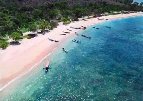 Pantai Pink Di Nusa Tenggara Barat Pariwisata Indonesia