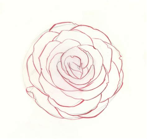 Lapiz Como Dibujar Una Rosa Facil Dibujar Una Rosa Es Algo Muy