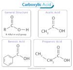 Carboxylic Acid: Definition, Examples, Synthesis, and Reactions