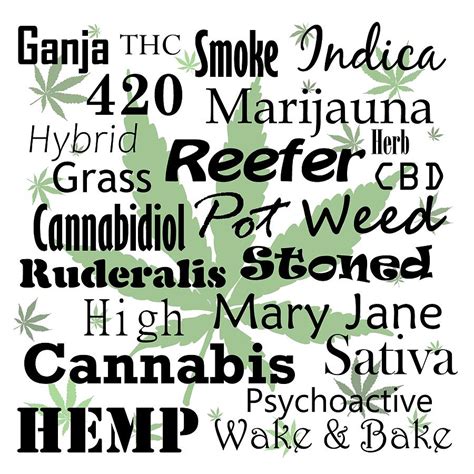 Cannabis Related Word Art Leaves Digital Art By Angie Tirado Fine