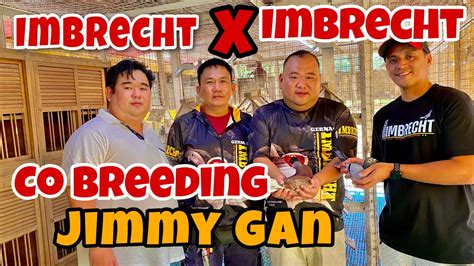 NAKILALA KO MGA ANAK NI BOSS JIMMY GAN NAG CO BREEDING KAMI Reggie