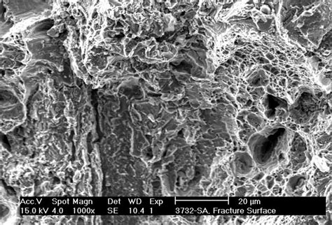 Fracture Surface Of The Tensile Sample After Testing At 800°c Showing Download Scientific