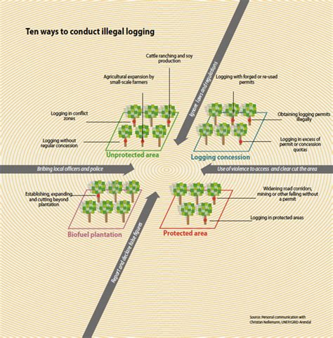 Illegal logging worth $30-100B annually