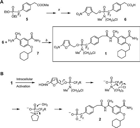 Preparation Of Metabolically Activated Prodrug 1 A Synthetic Scheme