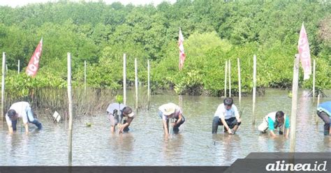 Kebijakan Iklim NGO Tekankan Transparansi Partisipasi