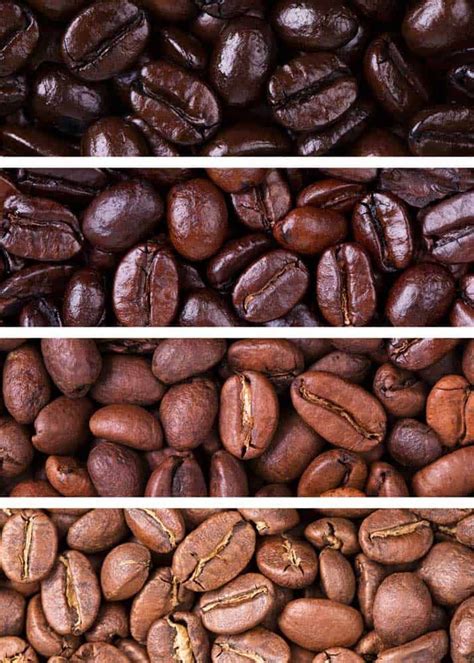 Three Different Types Of Coffee Beans With The Same Color And Pattern