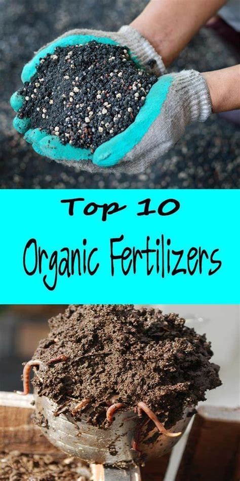 10 Organic fertilizers for vegetables #Organic_Gardening - Organic ...