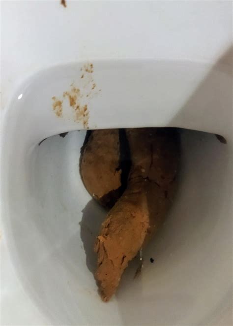 Fat Afternoon Poop Rpoop