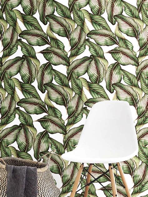 Botanical Wallpaper Uk Leaf Plant Pattern Grass Tree 382433