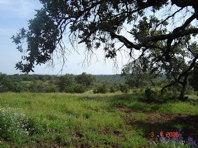 EN CONTRAMINA MINA DE SAN JUAN GRUPO PEÑUELAS PAYMOGO HUELVA