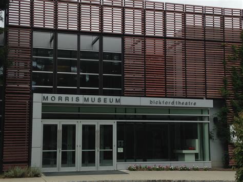 Morris Museum Exhibits Chairs of Inclusion, a Large-Scale Collaborative Art Project - News - TAPinto