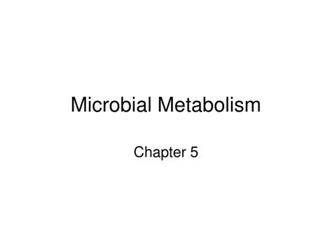 Ppt Microbial Metabolism Powerpoint Presentation Free Download Id