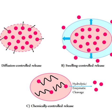 Pdf Hydrogels As Drug Delivery Systems Pros And Cons Review Article