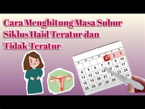 Cara Menghitung Masa Subur Siklus Haid Teratur Dan Tidak Teratur Youtube