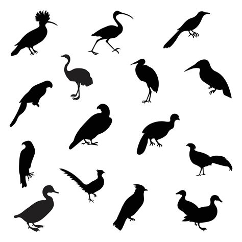 Set of birds silhouette. 26992933 Vector Art at Vecteezy