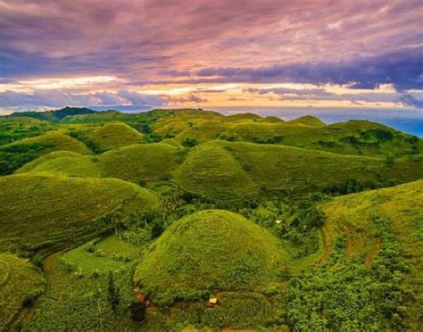 The Enchantment Of The Beauty Of Teletubbies Hill Tourism Bromo