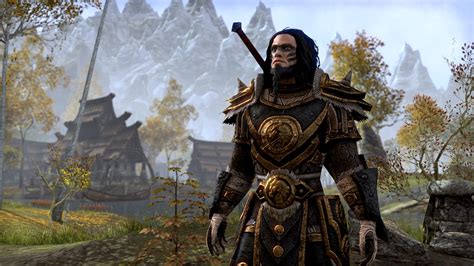 Elder Scrolls Online Nord Armor Wallpaper 4