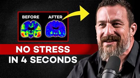 Proven Method To Stay Calm And Relief Instantly Dr Andrew Huberman Youtube