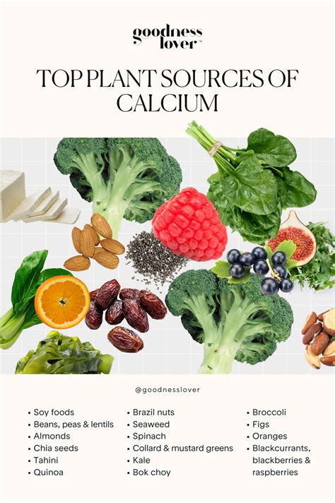 Plant sources of calcium – Artofit