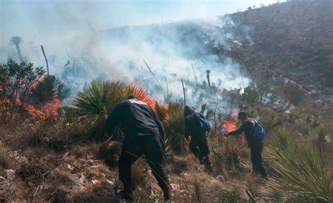 Más De 2 Mil Hectáreas Siniestradas Por Incendios En San Luis Potosí