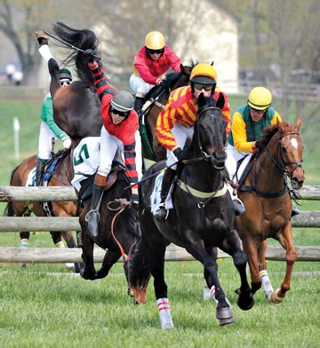 What Can We Do To Prevent Steeplechase Injuries? - The Chronicle of the ...