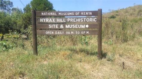 hyrax hill museum entrance fees