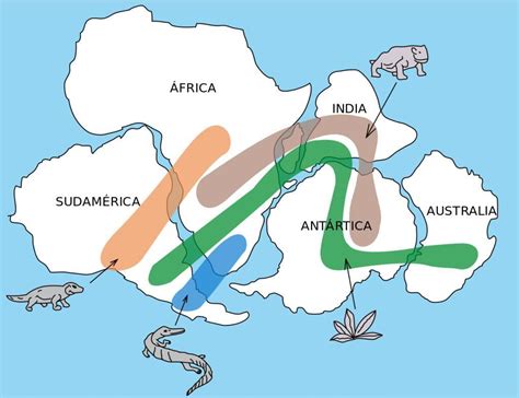 Deriva Continental O Que A Teoria Da Deriva Continental