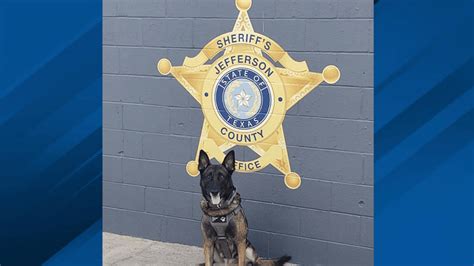 Jefferson County Sheriffs Office K9 Hunk To Get Donation Of Body Armor