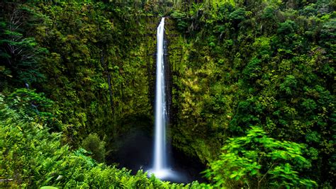 hawaii waterfalls   photo