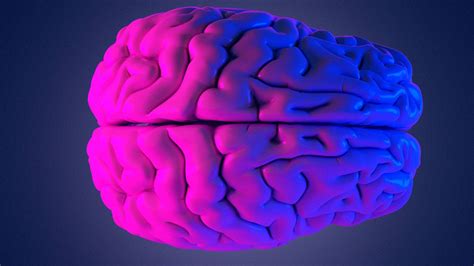 Researchers Identify Vascular Changes In The Brain Linked To Alzheimer