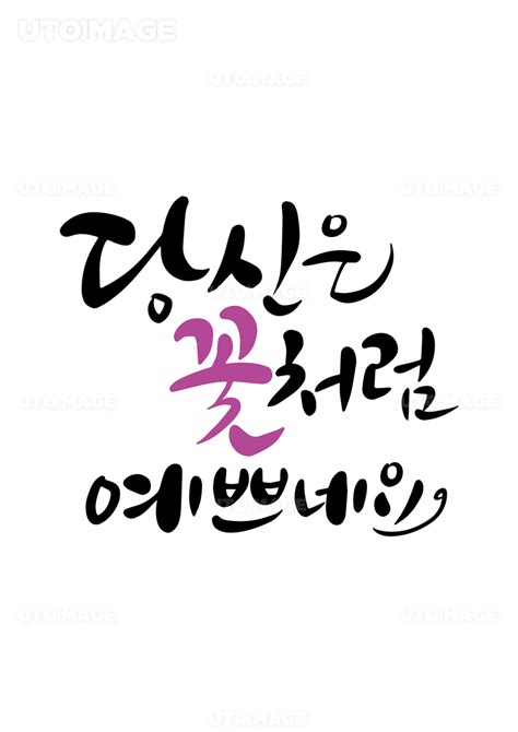 유토이미지 캘리그라피 당신은 꽃처럼 예쁘네요