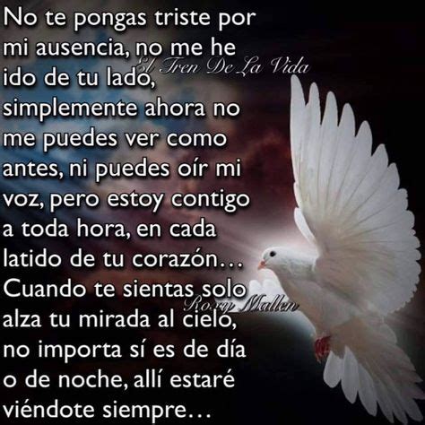 23 Ideas De Oracion Para Un Fallecido Frases De Consuelo