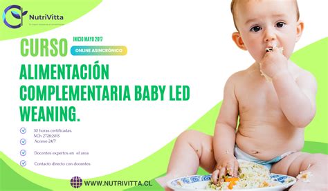 Curso Alimentaci N Complementaria Baby Led Weaning Cursos Online De