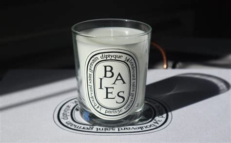 Diptyque Baies Candle Review - The Velvet Life