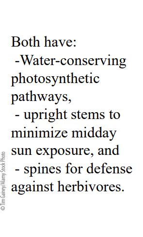 Ecology Exam Flashcards Quizlet