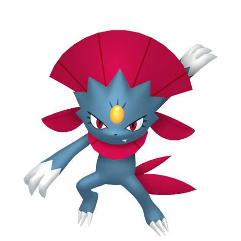 Weavile Generation VIII Pokédex Marriland