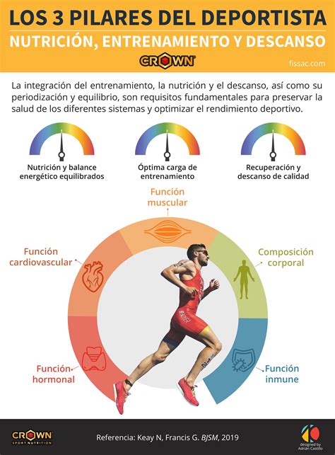 Los Pilares Del Deportista Nutrici N Entrenamiento Y Descanso