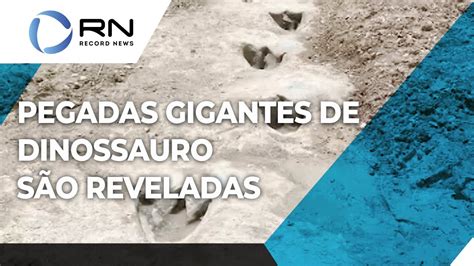 Pegadas gigantes de dinossauro são reveladas após seca em rio YouTube