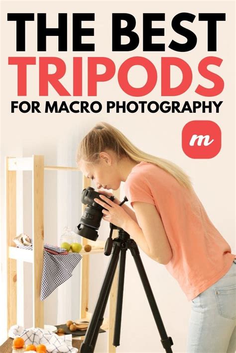 The Best Tripods For Macro Photography | Macro photography, Macro ...