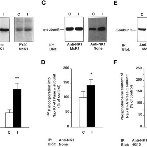 Stimulation Of Na K ATPase Activity By Insulin Is Linearly Correlated